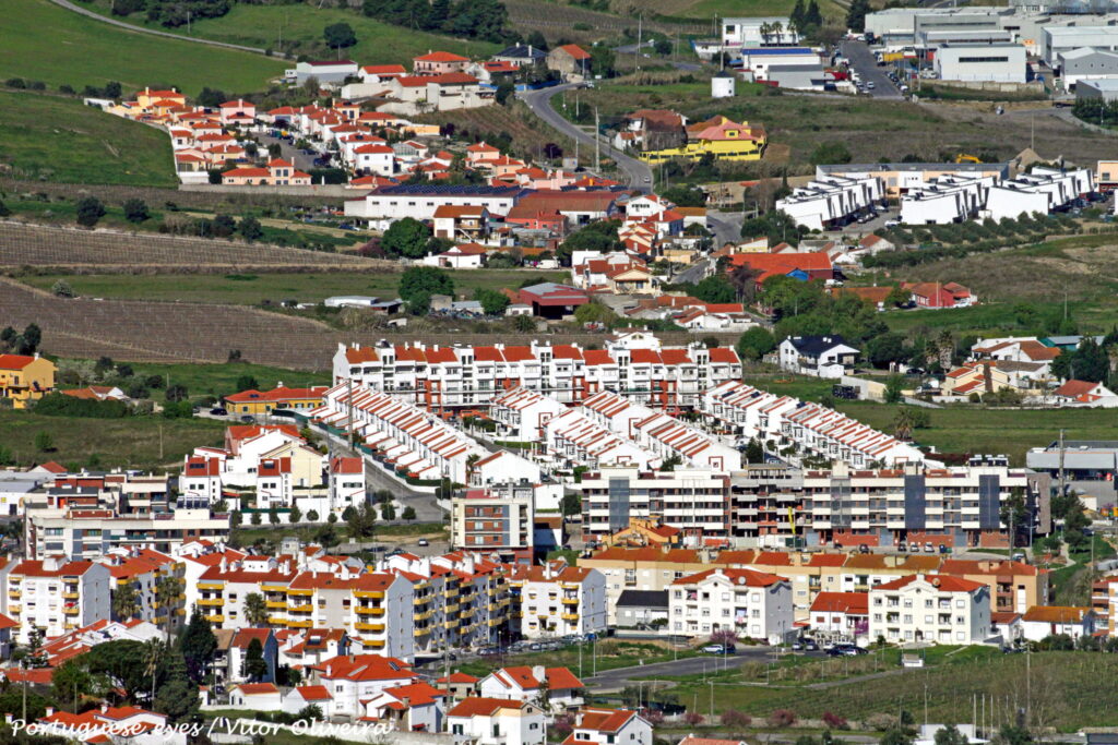 Arruda_dos_Vinhos_-_Portugal_(51074499862)